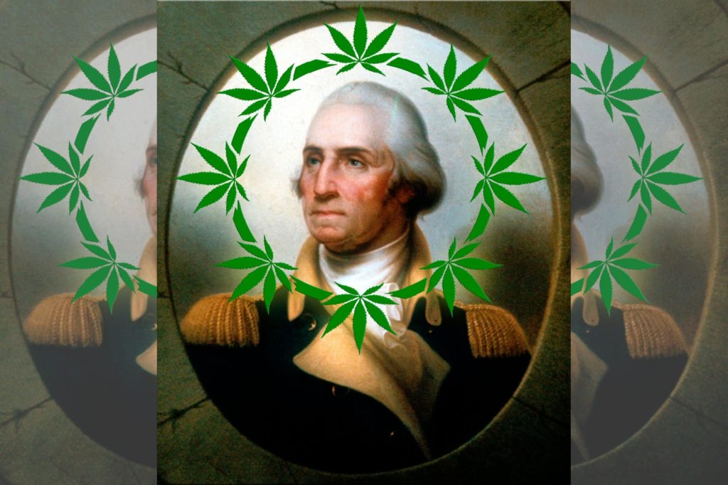 history of weed