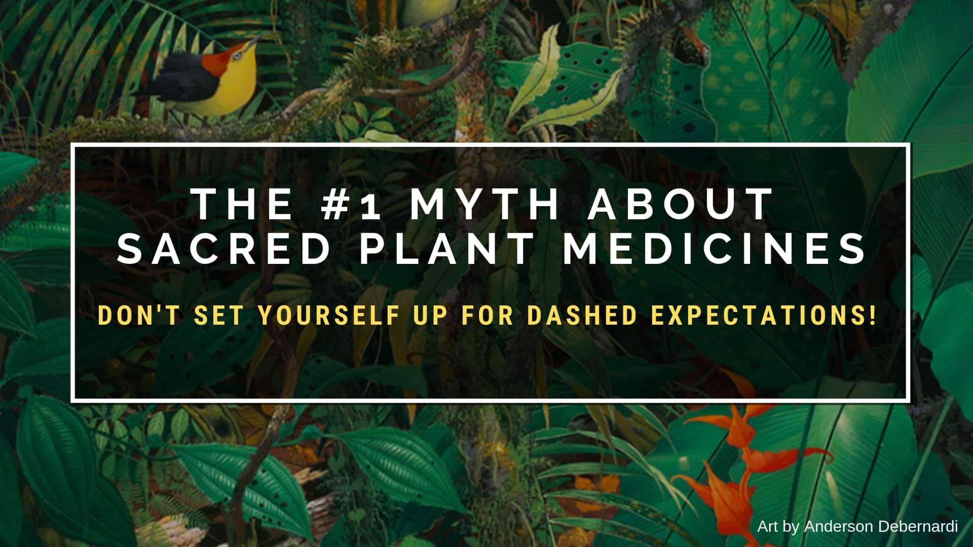The 1 Myth About Sacred Plant Medicines Like Ayahuasca EntheoNation