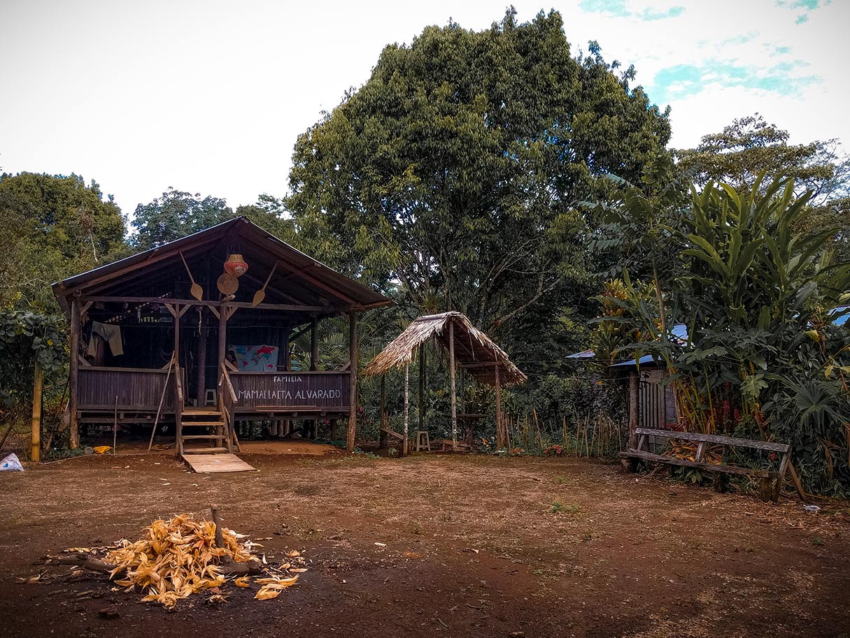 Empty ayahuasca retreat center
