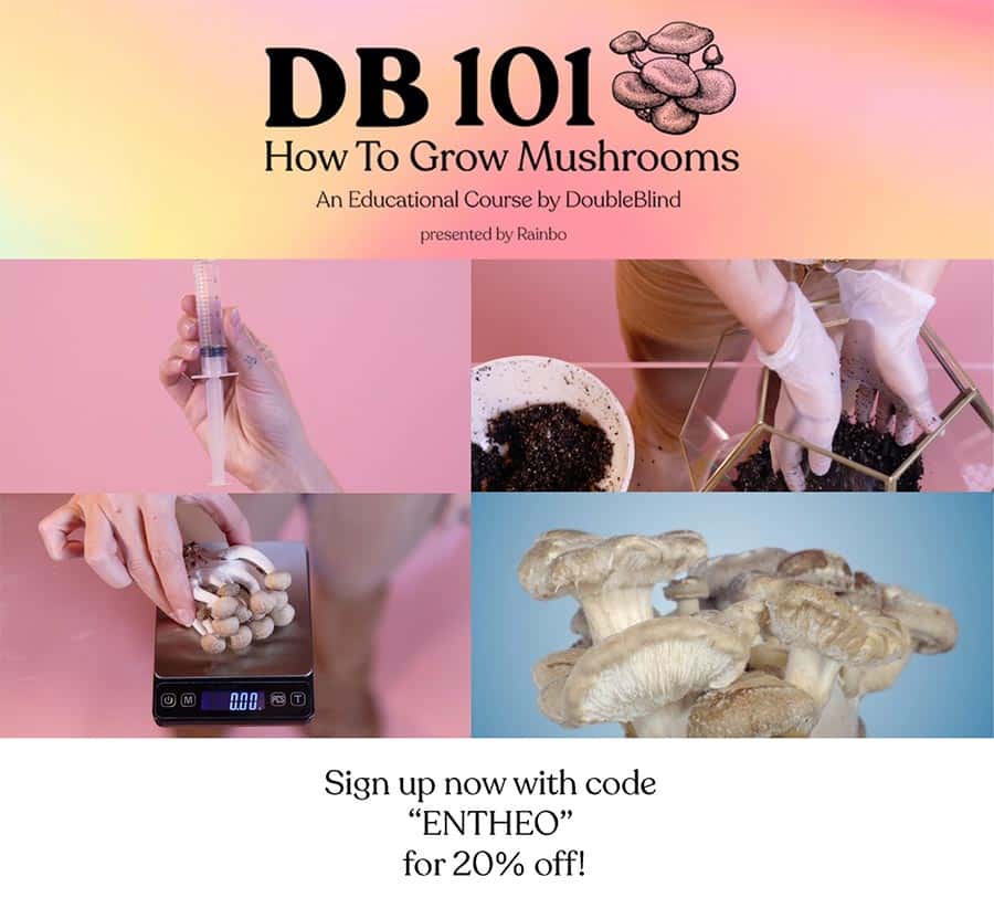 Advert for the DoubleBlind mushroom growing course