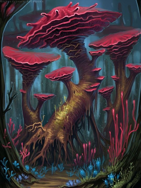Alexandra Schastlivaya - Magic Mushroom Fantasy
