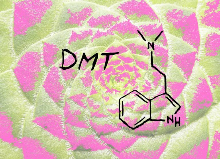 Psychedelic plant with DMT molecule, DMT containing plants.