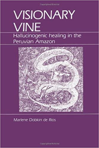 Visionary Vine book cover.