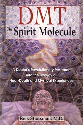 dmt the spirit molecule book cover