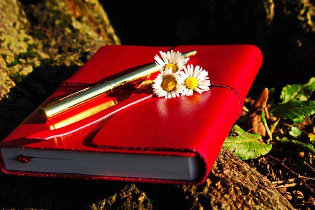 Bright red journal with flowers on top. Keeping a microdosing journal for ayahuasca.