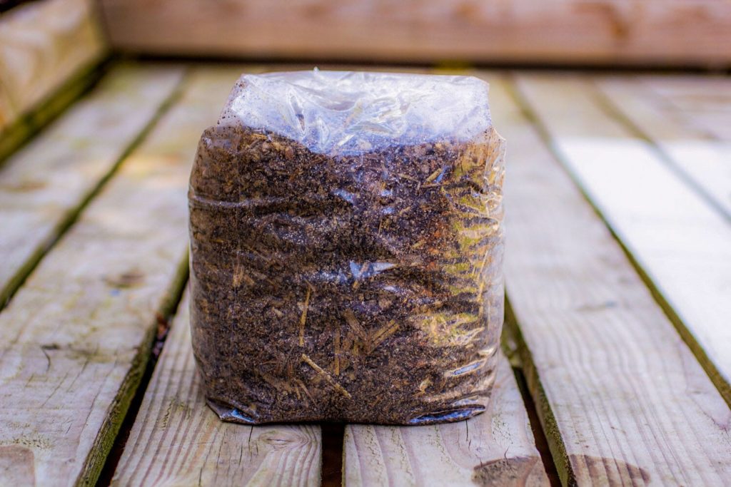 Grow shrooms from a coco coir and vermiculite substrate
