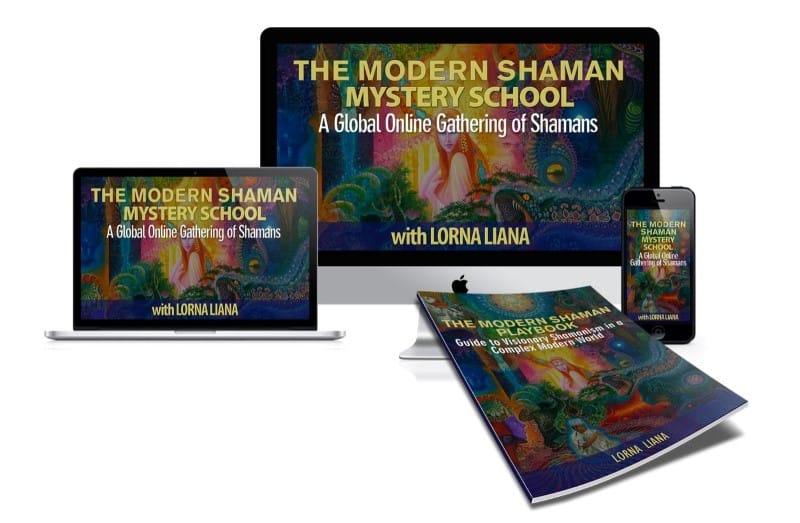 MSMS Digital Bundle