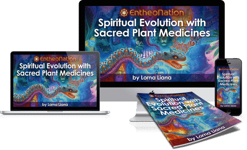 SpiritualEvo-SacredPlantMedicines-500