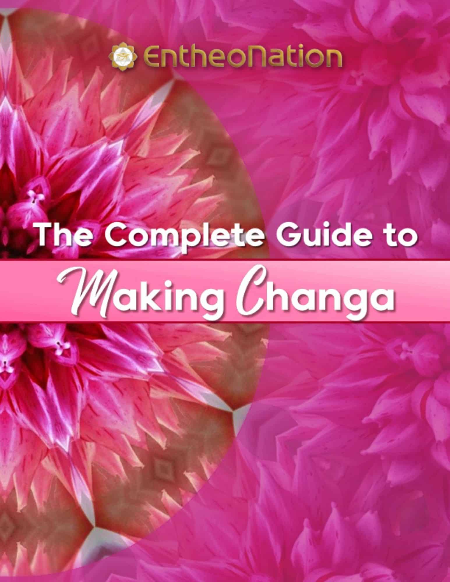 A pink ebook cover for a Changa Guide