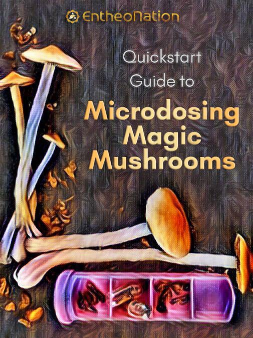 Microdosing Mushrooms Guide