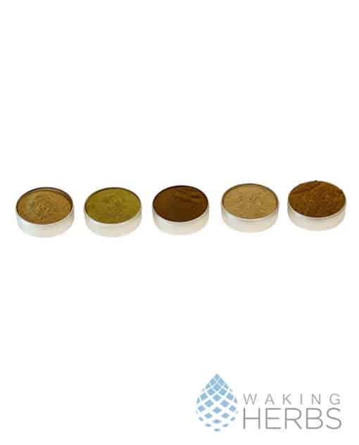 6 Types of Shamanic Snuff to Try in Your Hape Medicine Rituals ...