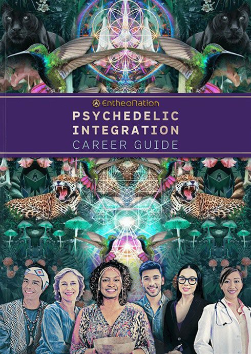 Integration Career Guide eBook cover
