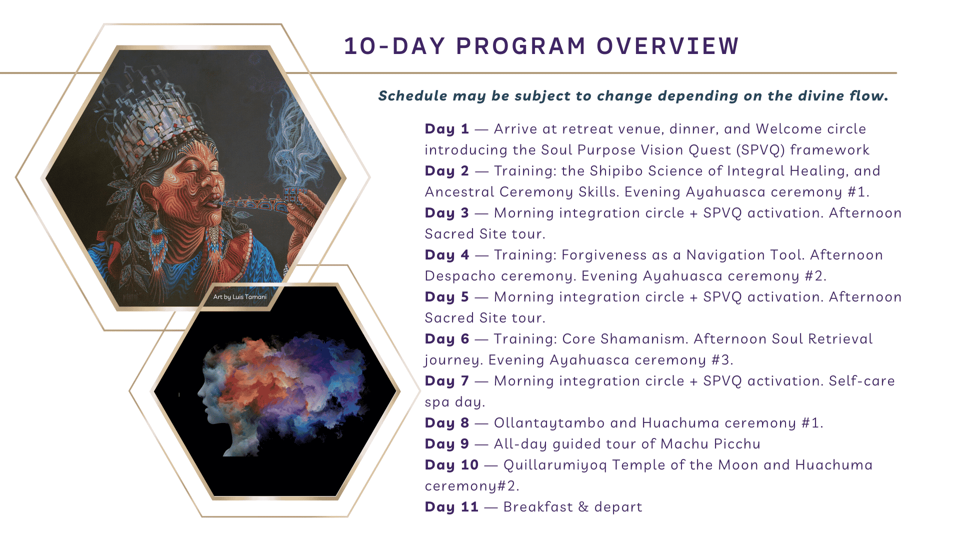 10-Day Program Overview